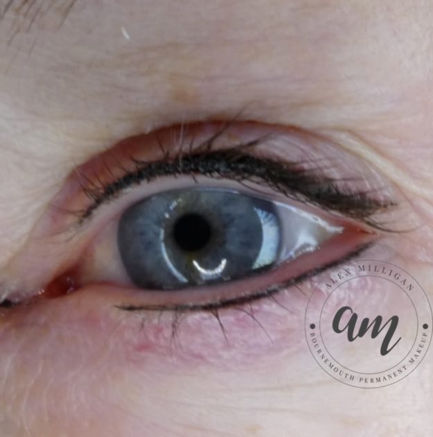 Winged Shaded Eyeliner (2)